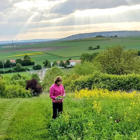 Am Schildberg *