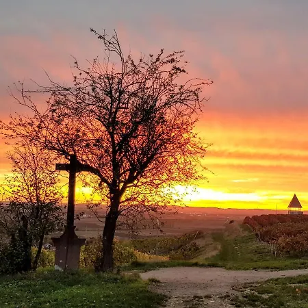 בית נופש Am Schildberg Sulzheim (Rhineland-Palatinate)