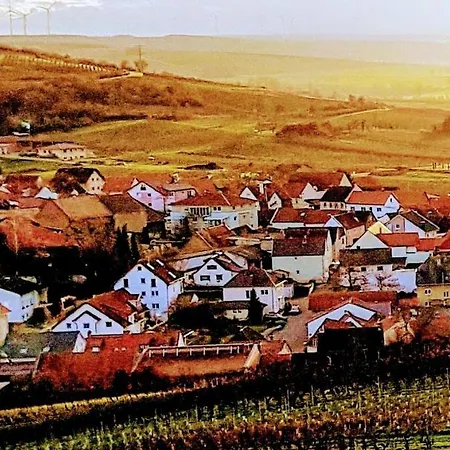 Ferienhaus Am Schildberg Sulzheim (Rhineland-Palatinate)