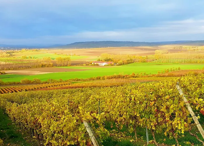 Ferienhaus Am Schildberg *
