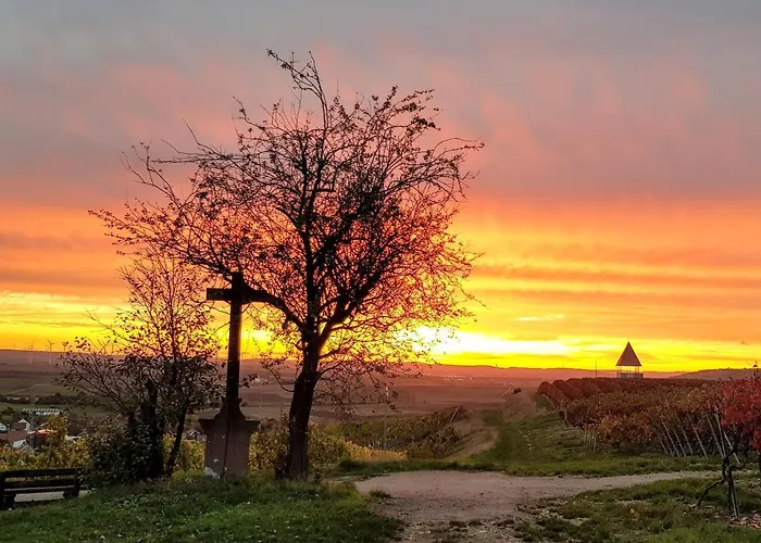 Ferienhaus Am Schildberg Sulzheim (Rhineland-Palatinate)