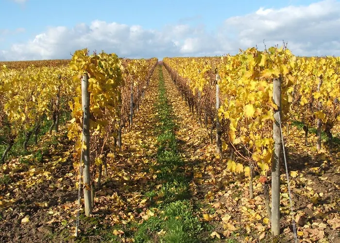 Ferienhaus Am Schildberg *